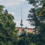 Praktikum (m/f/d)