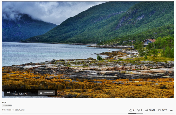 Open the watch link of your video stream - talque